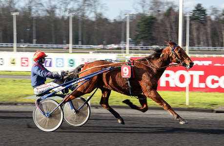 Actualités Hippiques